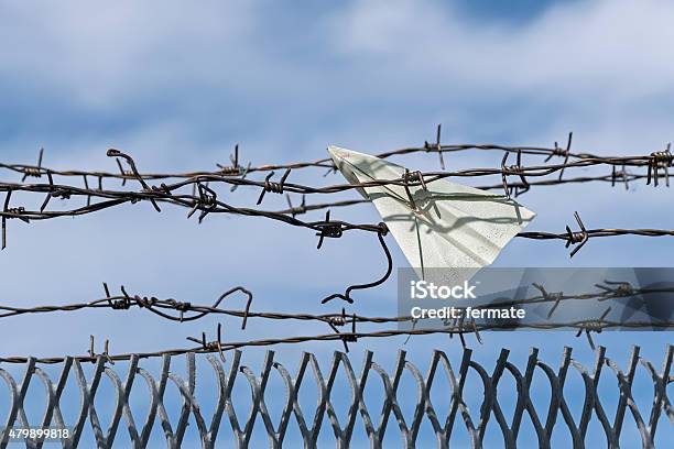 Paper Plane Gets Stuck In Barbed Wire Stock Photo - Download Image Now - Airplane, Fence, Prison