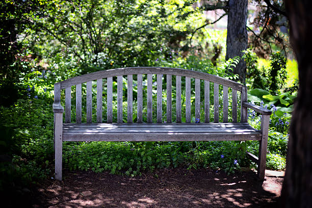 istock Old Park Bench with Purple Flowers 479906242