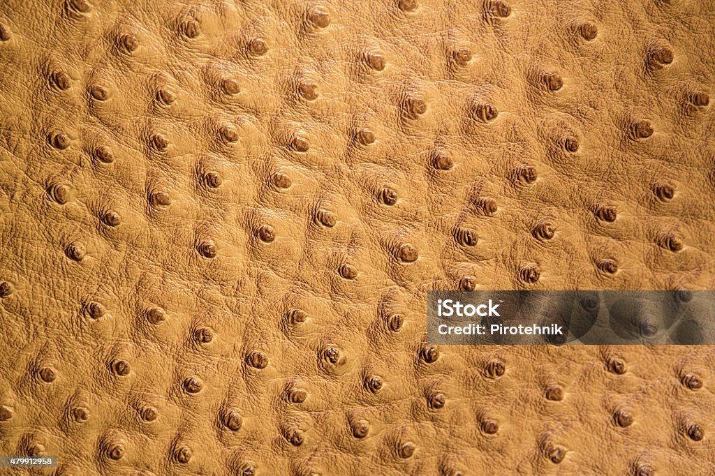 Ostrich Leather Patch In Beige Color Stock Photo - Download Image
