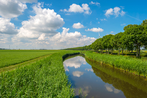 Canal through a sunny landscape in summer