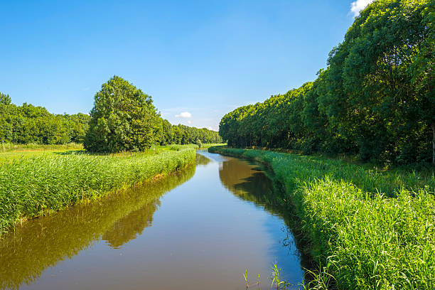 istock Canal through a sunny landscape in summer 479913002