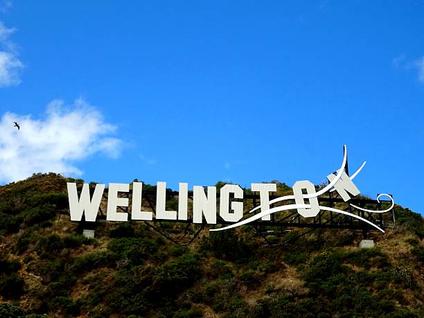 веллингтон - wellington new zealand стоковые фото и изображения