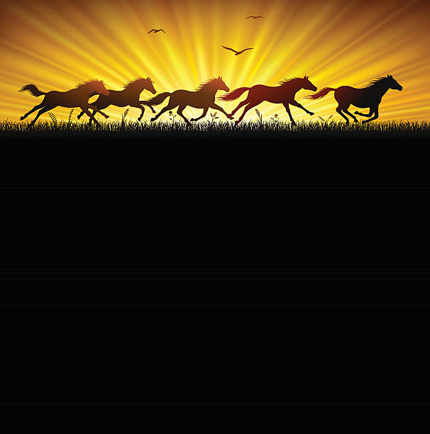 Running Wild Horses High Resolution JPG,CS6 AI and Illustrator EPS 10 included. Each element is named,grouped and layered separately. Very easy to edit. stampeding stock illustrations