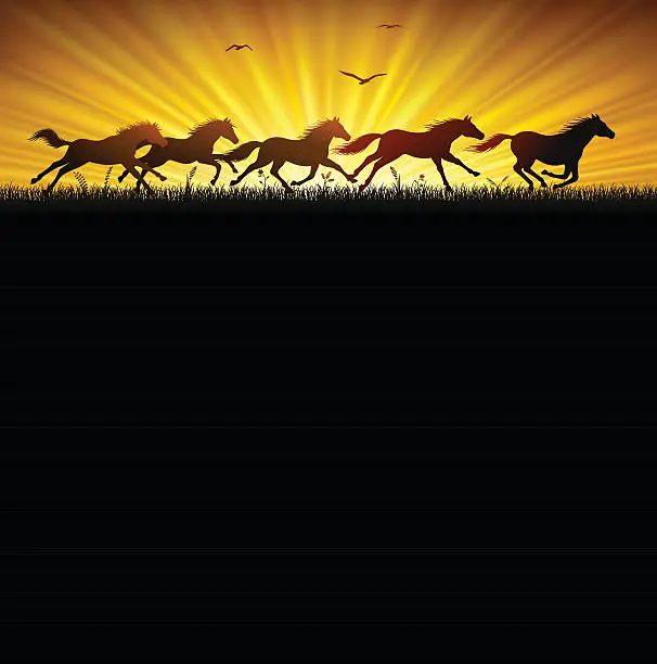 Vector illustration of Running Wild Horses