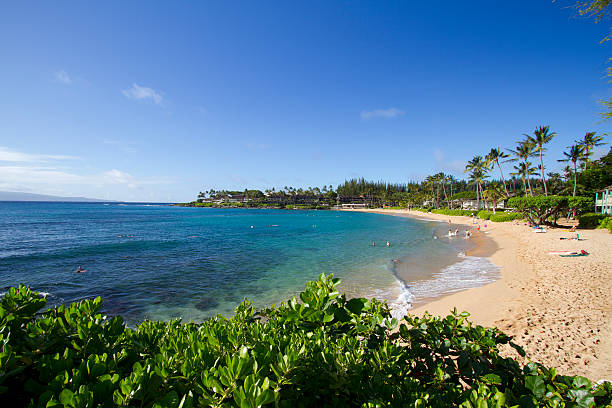 istock Maui Hawaii Snorkling at Napili Beach Wide Horizontal 479918190