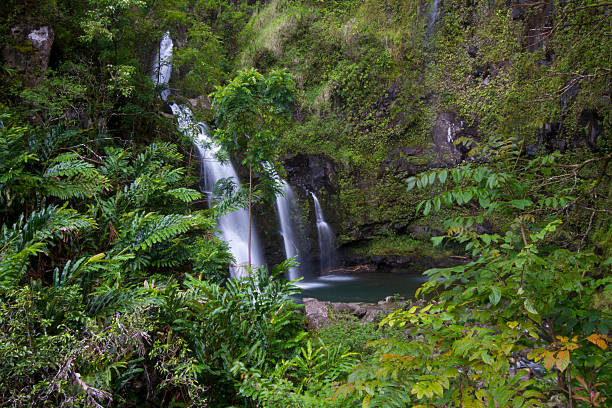 istock Maui Hawaii Waikani Waterfall 479918202