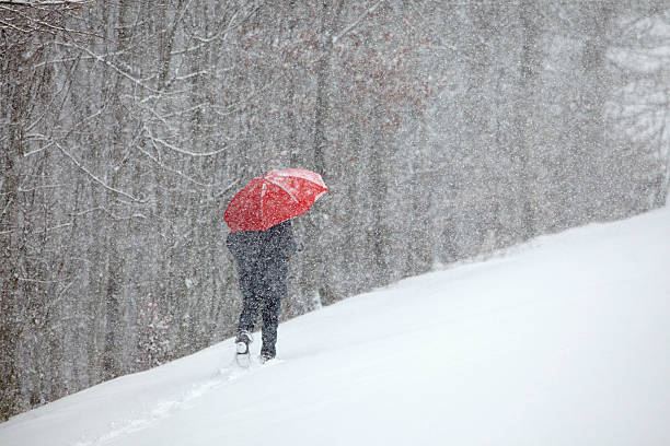 istock Man snow red umbrella trees many 479921152