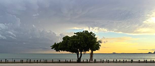 und bedeckter tag auf key biscayne beach - rickenbacker causeway stock-fotos und bilder