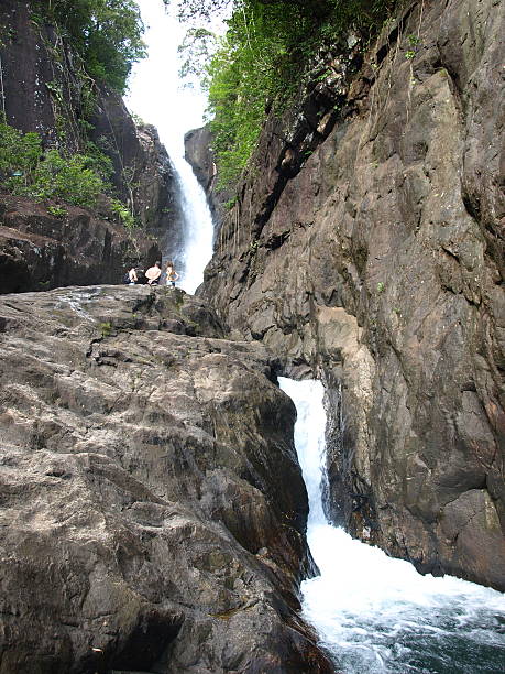 cachoeira na floresta profunda - george w bush - fotografias e filmes do acervo