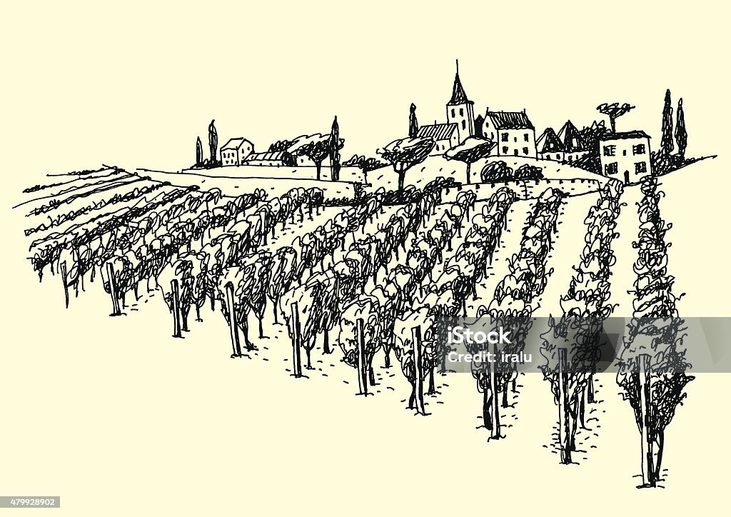 Superbe vue sur le vignoble dans la vallée. - clipart vectoriel de Vignoble libre de droits