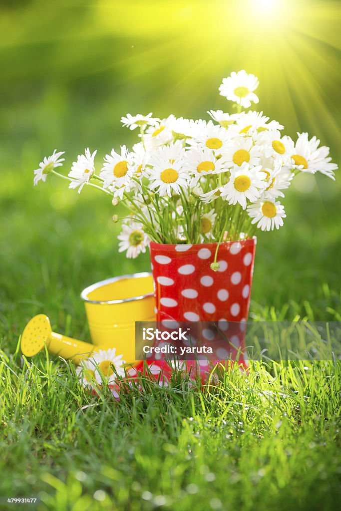 Spring flowers Beautiful bunch of spring flowers in red boots Backgrounds Stock Photo