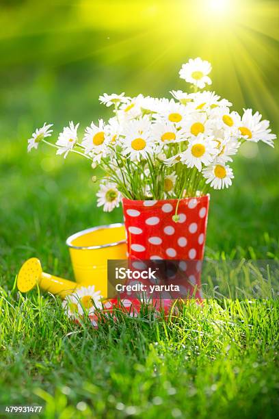 Spring Flowers Stock Photo - Download Image Now - Backgrounds, Boot, Bouquet