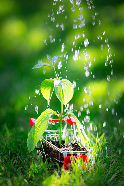 istock Young plant in shopping cart 479931495