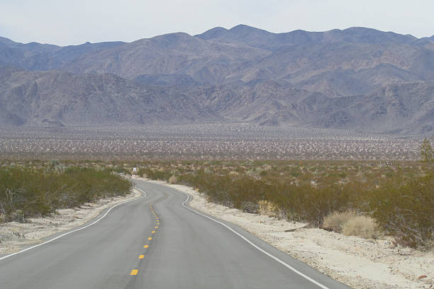 istock Road Into Joshua Tree National Park 479936294
