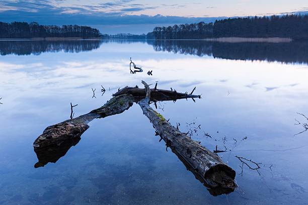 istock Sunrise over beautiful wild lake 479936780