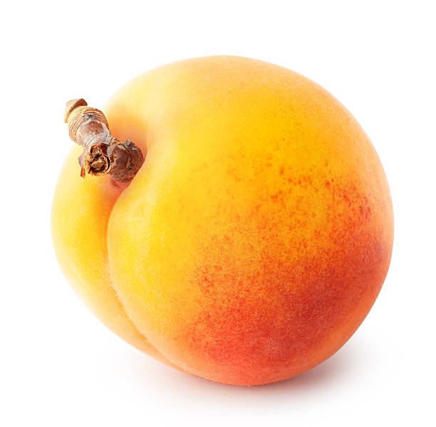 istock Yellow juicy apricot with a brown handle 479937254