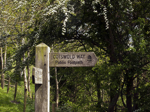 istock Scenic Gloucestershire - Haresfield Beacon 479939580