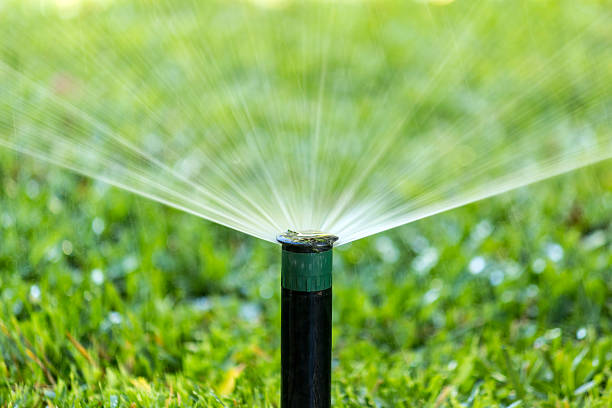 istock Garden Irrigation system spray watering lawn. 479941014