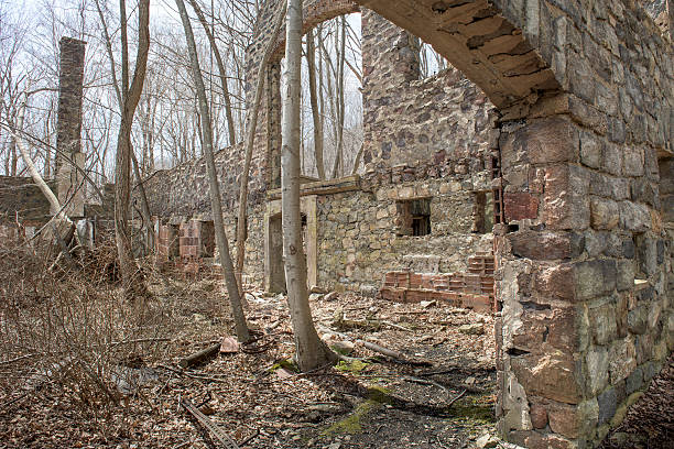 stone barn sprofondare in una foresta - cold spring foto e immagini stock