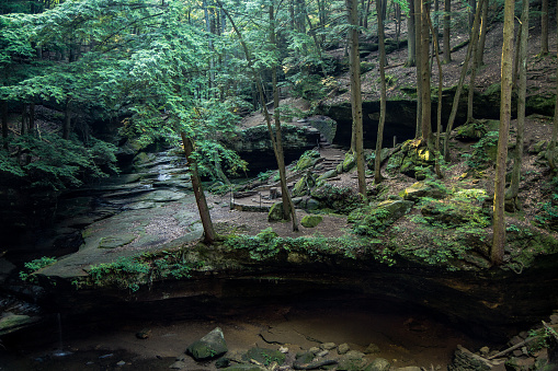 Hemlock forest landscape of Hocking Hills State Park in Logan, Ohio. This enchanted forest scene was shot at the Old Man's Cave Scenic Area. Hocking Hills is the most visited state park in the state of Ohio and is located just outside of Logan, Ohio.