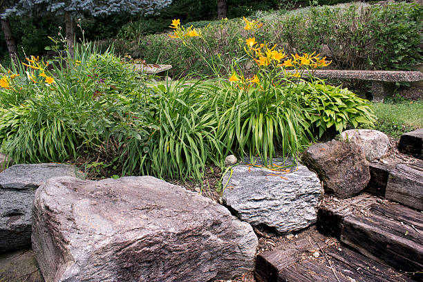 istock golden flowers and boulders 479946800