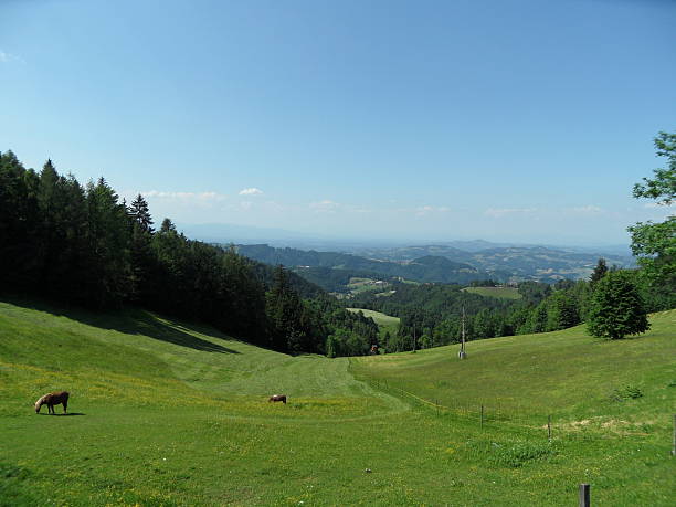panoramic view into Styria  from sveti Duh in Slovenia panoramic view into Styriy over meadows from sveti Duh in Slovenia leutschach an der weinstraße stock pictures, royalty-free photos & images