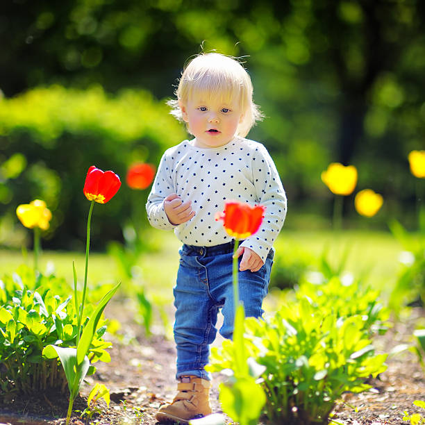 istock Toddler boy walking in the garden 479948028