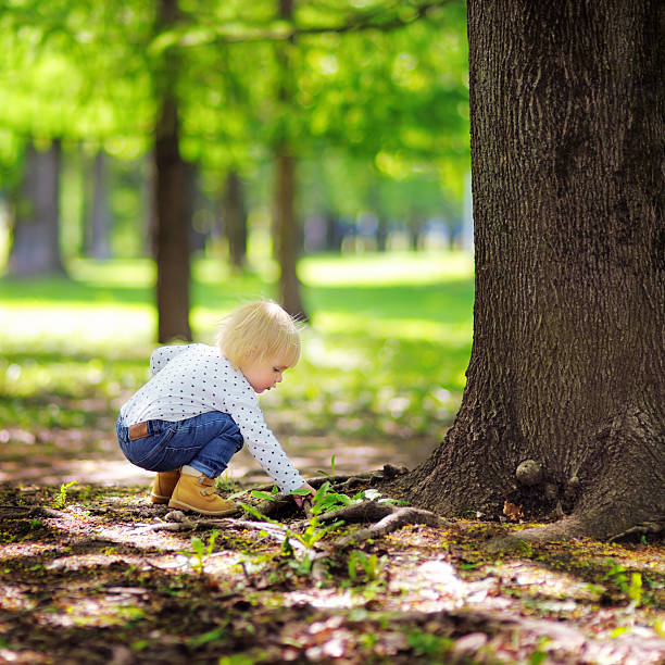 istock Toddler boy playing in the park 479948034