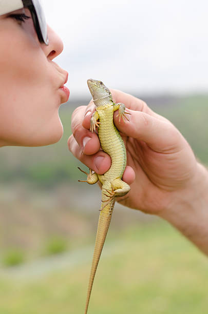 istock Young woman kissing a lizard 479951522