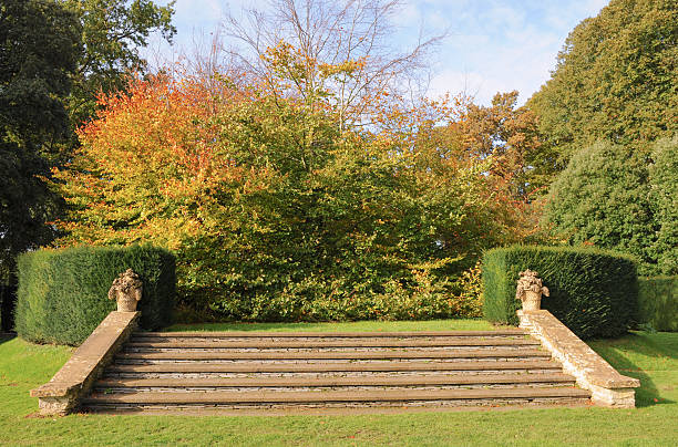istock Garden at Hidcote, Gloucestershire, England, UK 479955690