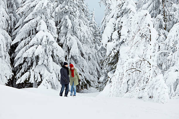 istock Man woman walk winter snow trees 479959592