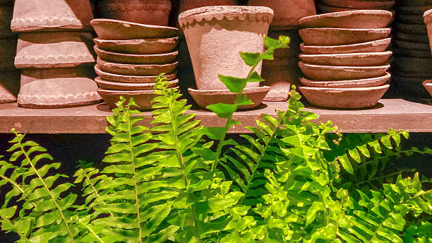 Terracotta flowerpots stock photo