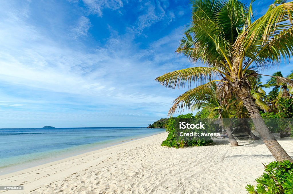 Beach in Mamanuca Islands, Fiji Idyllic beach in the Mamanuca Islands in Fiji Mamanuca Islands Stock Photo