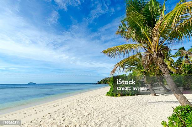Beach In Mamanuca Islands Fiji Stock Photo - Download Image Now - Mamanuca Islands, Island, Malolo Island