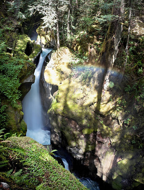scala creek panorama - north cascades national park cascade range river waterfall foto e immagini stock