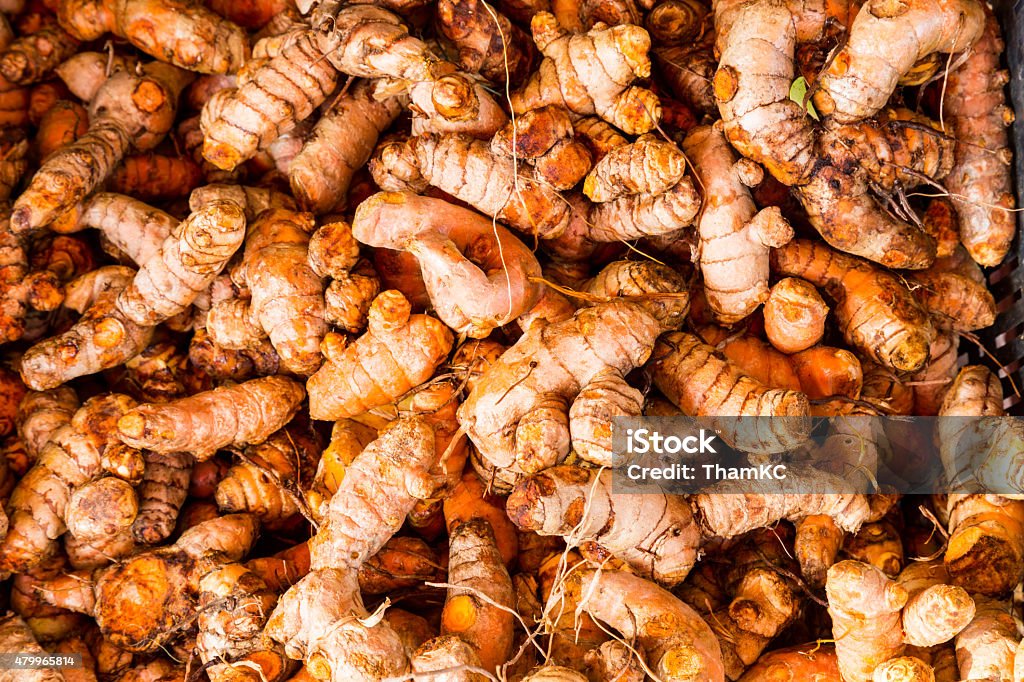 Heaps of freshly harvested turmeric roots 2015 Stock Photo