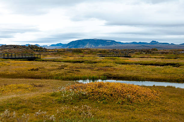 istock Thingvellir national park, Iceland 479968725