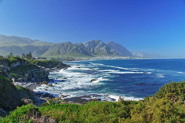 Beautiful ocean and coast landscape Beautiful ocean and coast landscape in Hermanus, South Africa hermanus stock pictures, royalty-free photos & images