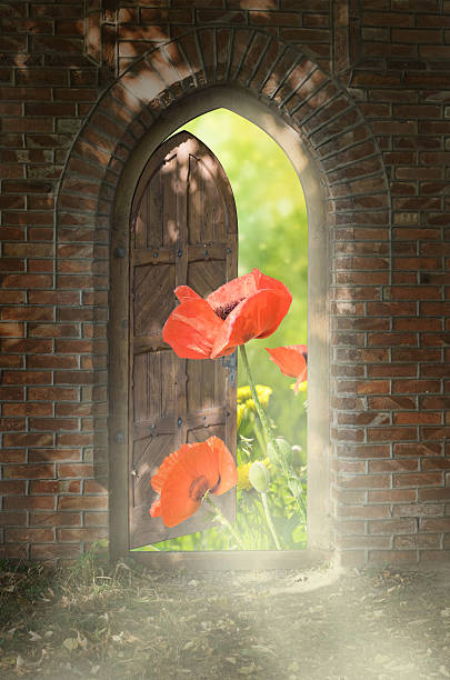 Door to new world. The door to paradise.