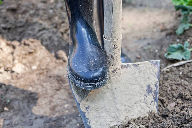 istock woman digging in the garden with black boots 479978372