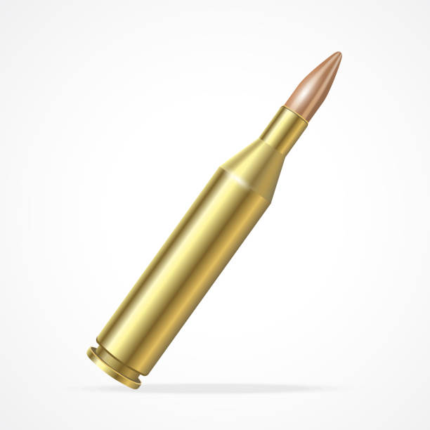 Bullet Shells Vector 190+ Gun Shells Stock Illustrations, Royalty-Free Vector Graphics ...