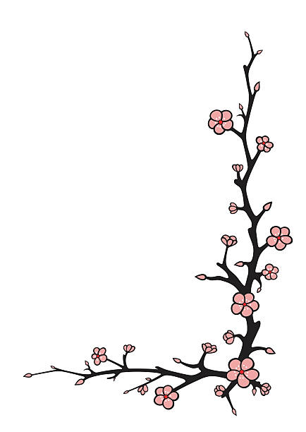 Branche de cerisier - Illustration vectorielle