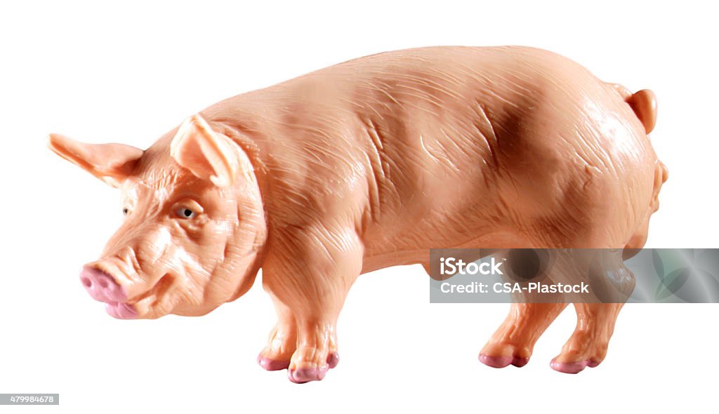 Pig http://csaimages.com/images/istockprofile/csa_vector_dsp.jpg 2015 Stock Photo