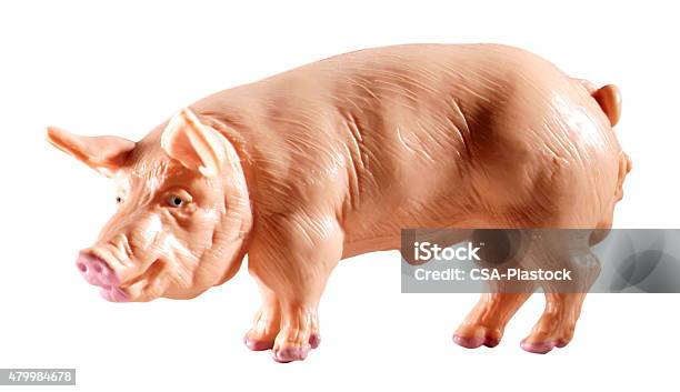 Pig Stock Photo - Download Image Now - 2015, Animal, Colored Background