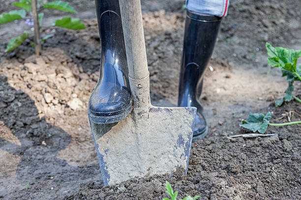 istock woman digging in the garden with black boots 479986110