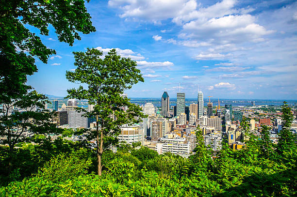 istock Montreal City in the Summer 479998088
