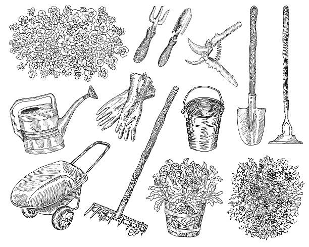 czarno-biały zestaw vintage ogród narzędzia - grace stock illustrations