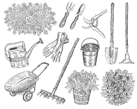 Big black and white set with vintage garden tools, clover pattern and shrub of black currant, hand drawn design elements