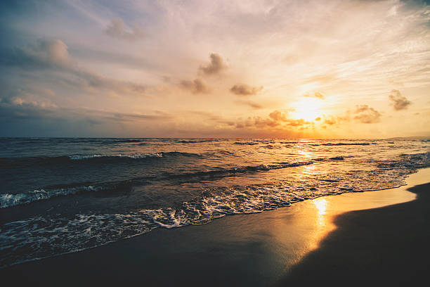 zachód słońca na plaży - romance tropical climate ideas travel destinations zdjęcia i obrazy z banku zdjęć