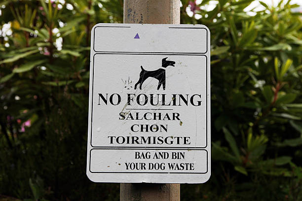 istock No fouling sign 480005980